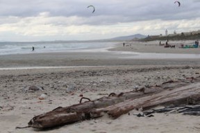 九游娱乐官方平台-南非水球队点球大战中惊险取胜，南非水球队点球大战中惊险取胜的是谁